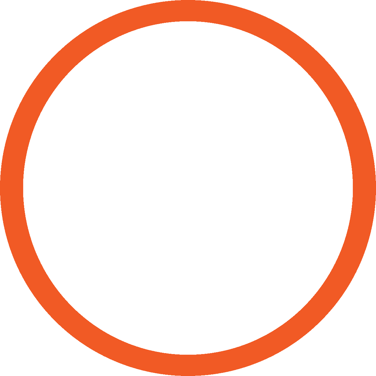 Icon Webinar weiss orange