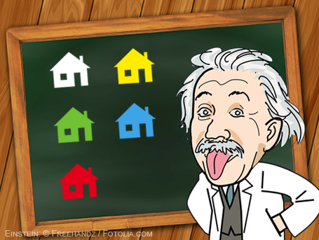 Einsteins Rätsel