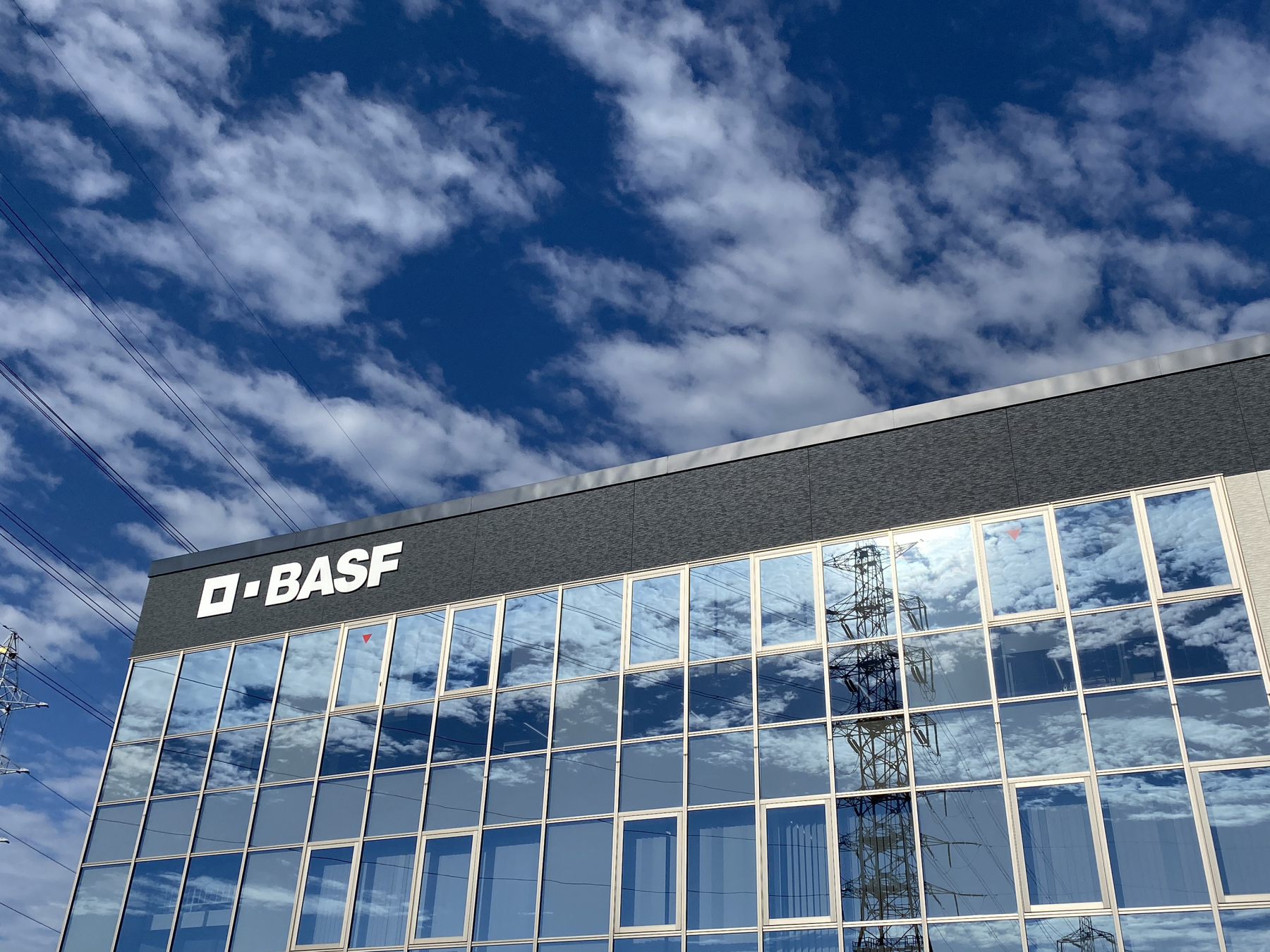 Was prüft der BASF-Onlinetest?
