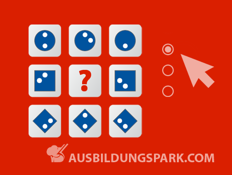 Was prüft der I-S-T 2000 R?